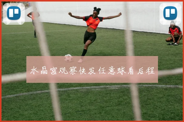 水晶宫观察快发任意球看后程